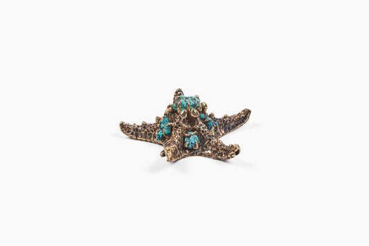 Lisa Eisner for Commune Starfish