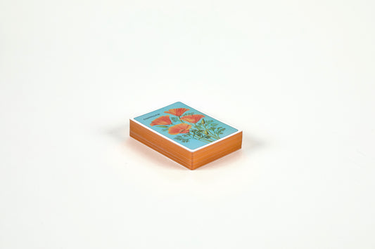 Los Angeles Wildflower Playing Cards