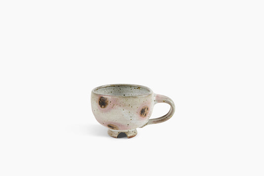 Whitman Shenk Mug