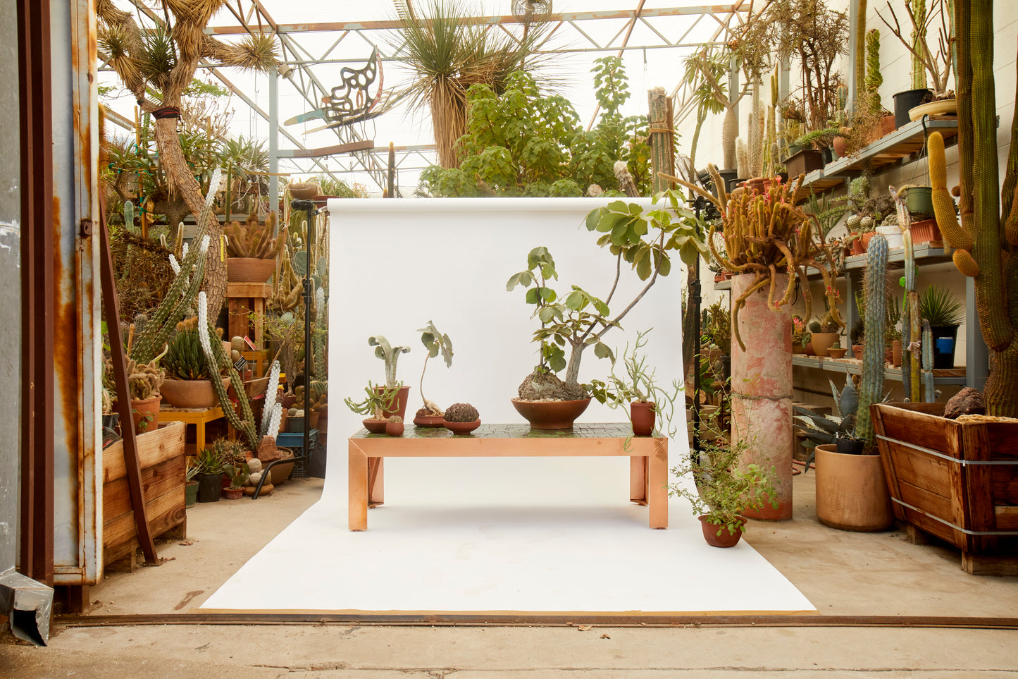 Sofia Londoño Copper Outdoor Table