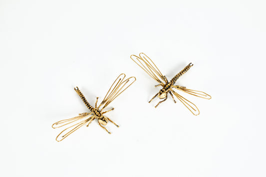 name=lisa eisner dragonfly