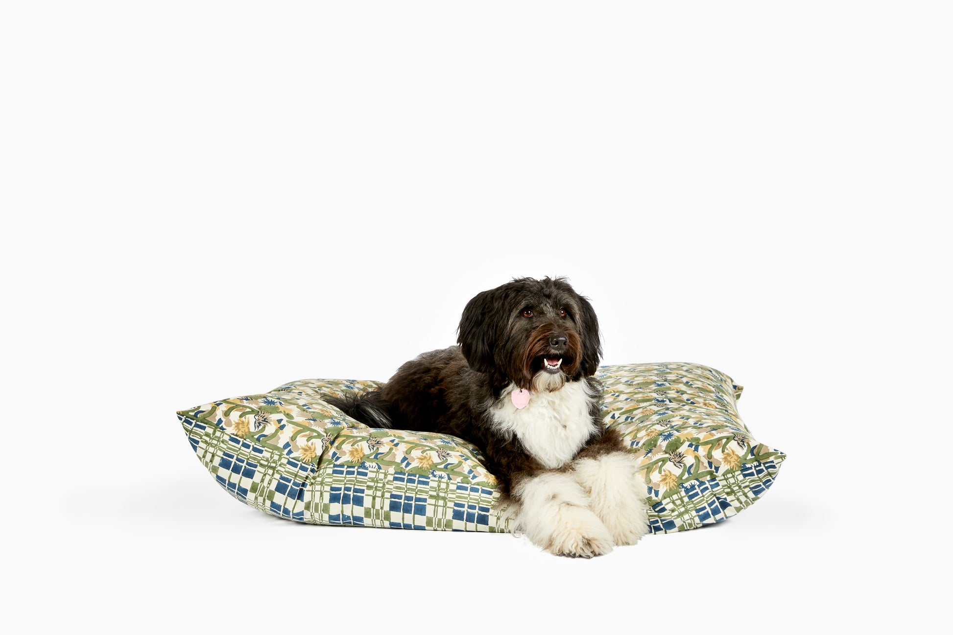 dog on bed