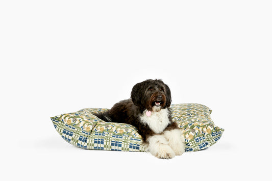 dog on bed