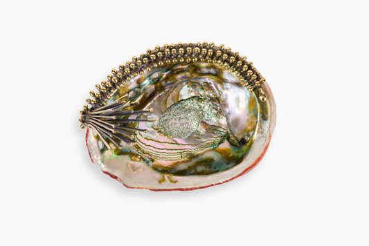Lisa Eisner for Commune Abalone Incense Holder