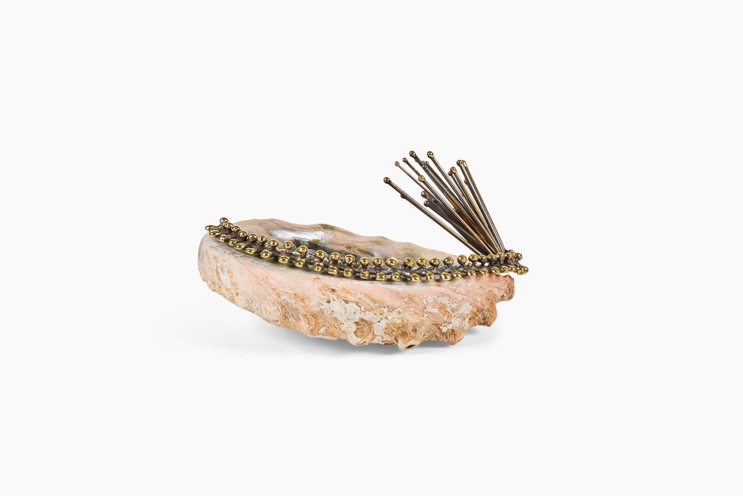 Lisa Eisner for Commune Abalone Incense Holder