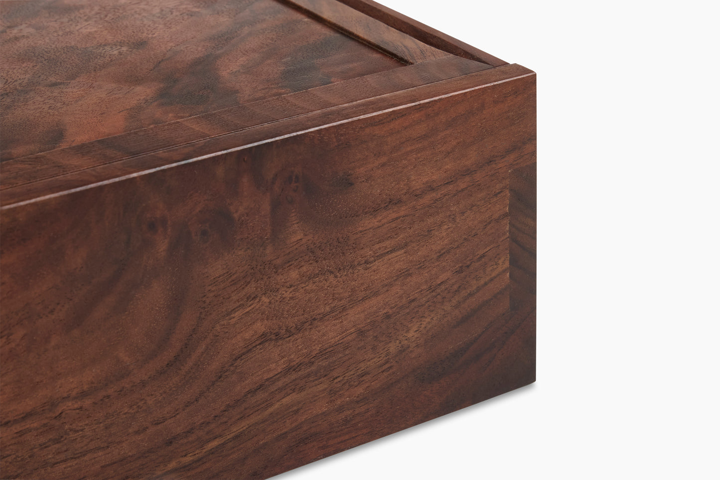 Noah Cohen Claro Walnut Box