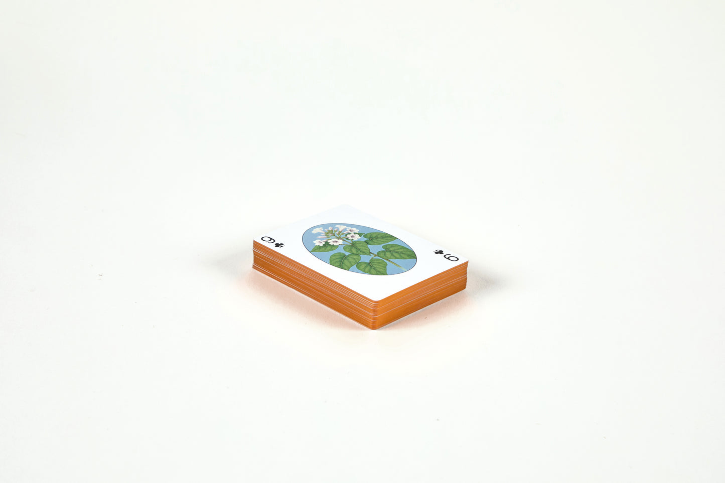 Los Angeles Wildflower Playing Cards