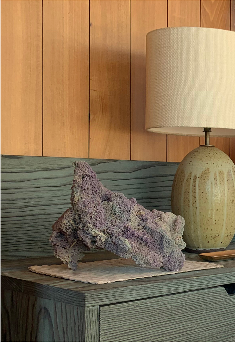 Sri Zokin