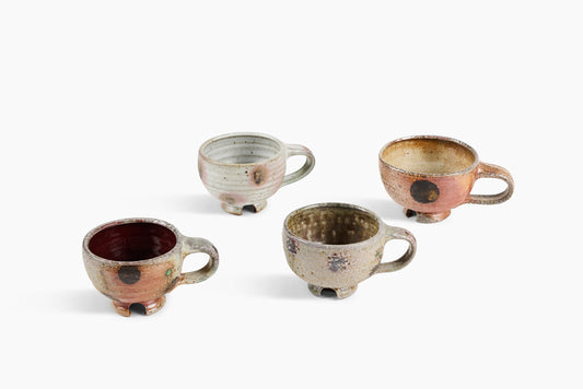 Whitman Shenk Mug