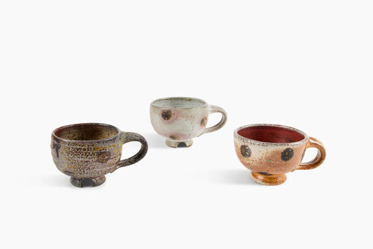 Whitman Shenk Mug